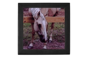 Laredo 1 - Art Keepsake Box by CafePress