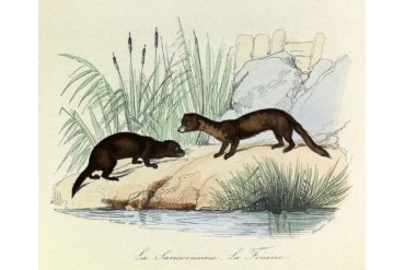 Engraving