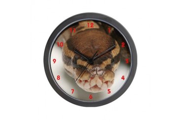 Ball Python Snake Wall Clock by CafePress