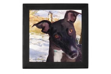 Tux Greyhound Keepsake Box by CafePress