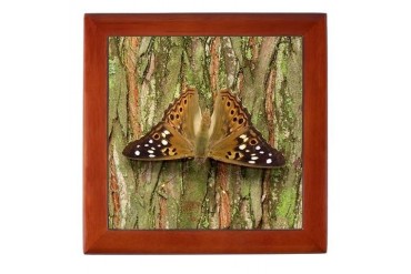 Hackberry Emperor Butterfly Treasure Box Butterfly Keepsake Box by CafePress