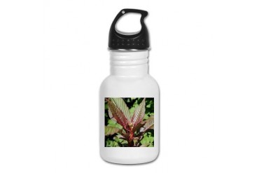 Plant Picture. Photography Kid's Water Bottle by CafePress