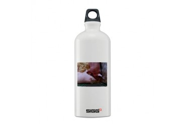 Pig Love Love Sigg Water Bottle 0.6L by CafePress