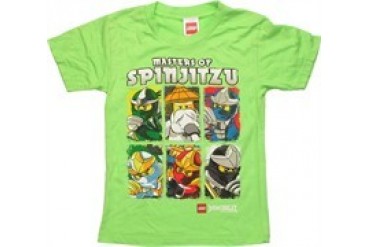 Lego Ninjago Master Spinjitzu Juvenile T-Shirt