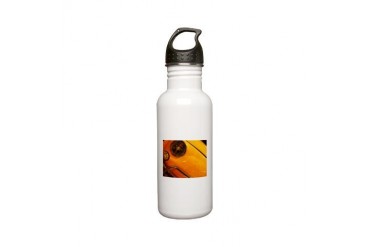 sjohnthing,FIAT 500 in yellow. Stainless Water Bot Vintage Stainless Water Bottle 0.6L by CafePress