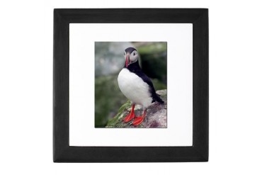 Art Keepsake Box by CafePress