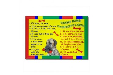 Pets Rectangle Magnet by CafePress