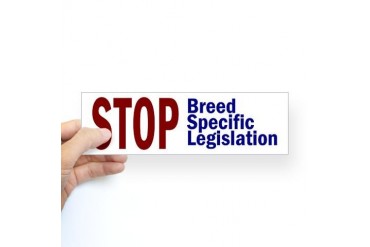 Bumper Sticker Pets Sticker Bumper by CafePress