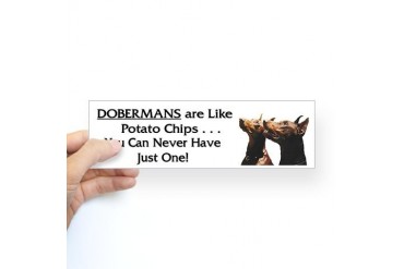 Doberman Red - Can't Have Just One Pets Sticker Bumper by CafePress