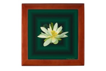 Lotus 1 Art Keepsake Box by CafePress