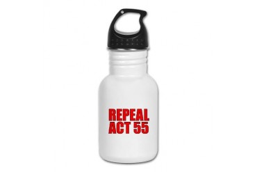 RA55: Plain Jane Hawaii Kid's Water Bottle by CafePress