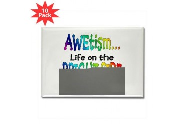 AWEtism Autism Rectangle Magnet 10 pack by CafePress