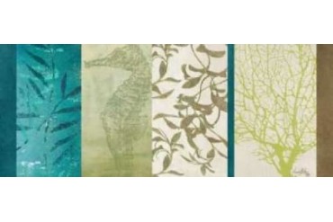Aquatic Bliss II Poster Print by Elizabeth Medley (24 x 48)