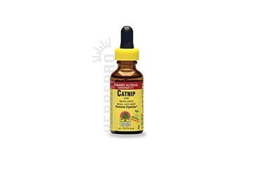 Catnip Extract ORGANIC 1 OZ