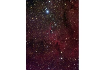 Elephant s trunk nebula inside IC 1396.