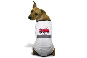 When I grow up..Fireman Occupations Dog T-Shirt by CafePress
