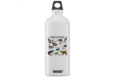 Central American Rainforest Art Sigg Water Bottle 1.0L by CafePress