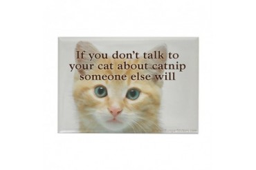 CafePress Catnip Magnet