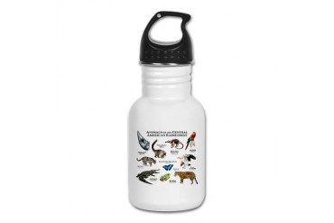 Central American Rainforest Art Kid's Water Bottle by CafePress