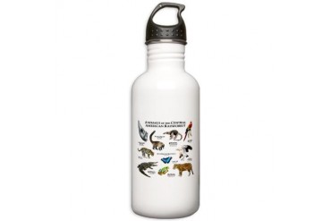 Central American Rainforest Stainless Water Bottle Art Stainless Water Bottle 1.0L by CafePress