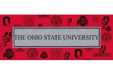 Ohio 2 Poster Print by Tony Pazan (24 x 48)