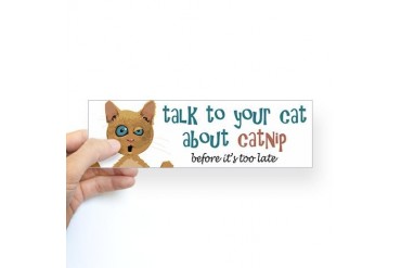 Talk to Your Cat About Catnip Bumper Sticker Funny Sticker Bumper by CafePress