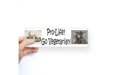 Bumper Sticker Peace Sticker Bumper by CafePress