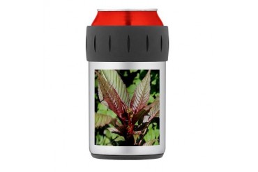 Plant Picture. Thermos Can Cooler Photography Thermosreg; Can Cooler by CafePress