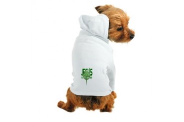 compass2b.png Religion Dog Hoodie by CafePress