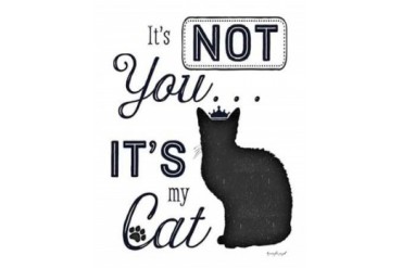 Its Not You - Its My Cat Poster Print by Jennifer Pugh (22 x 28)