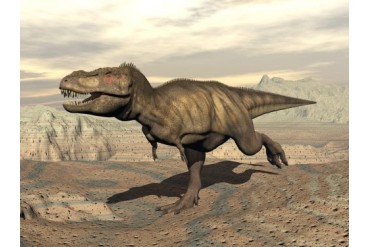 Tyrannosaurus Rex dinosaur running across rocky terrain.