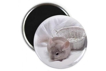 Chinchilla Chinchilla Magnet by CafePress