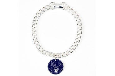 Cool Charm Bracelet, One Charm by CafePress