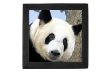 Panda Square Photo Easter Keepsake Box by CafePress