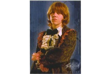 Harry Potter Mr. Weasley in Suit Stickers
