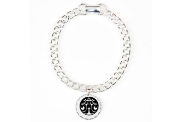 Celtic Style Split Raven 2 Charm Bracelet, One Cha Irish Charm Bracelet, One Charm by CafePress