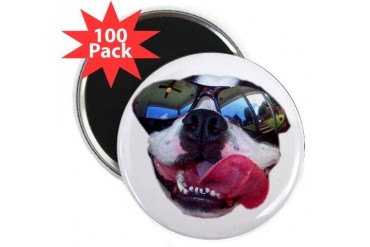 BOSTON TERRIER YO DAWG SUNGLASSES 2.25 Magnet 10 Humor 2.25 Magnet 100 pack by CafePress