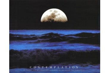 Contemplation Poster Print (20 x 16)