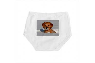 Golden Retriever 2 Golden retriever Diaper Cover by CafePress