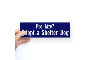 Pro Life? Adopt a Shelter Dog Sticker (Bumper)