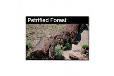 Petrified Forest NP Travel Rectangle Magnet by CafePress