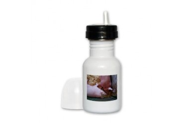Pig Love Love Sippy Cup by CafePress