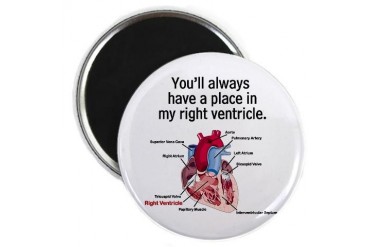 My Right Ventricle Funny Magnet by CafePress
