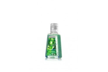 Bath & Body Works Eucalyptus Mint PocketBac