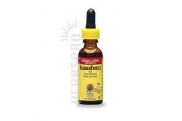 Blessed Thistle Extract 1 FL Oz