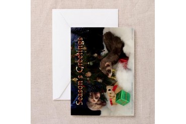 Ferret Holiday Cards Pk of 10 Funny Greeting Cards Pk of 10 by CafePress