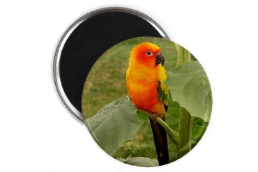 Pets Magnet by CafePress