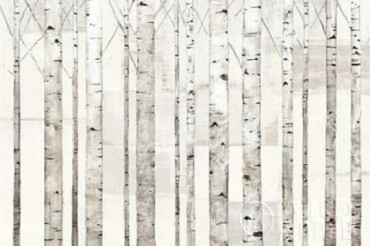 Birch Trees on White Poster Print by Avery Tillmon (24 x 36)